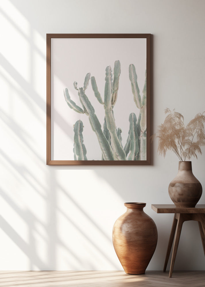 Sunrise Cactus