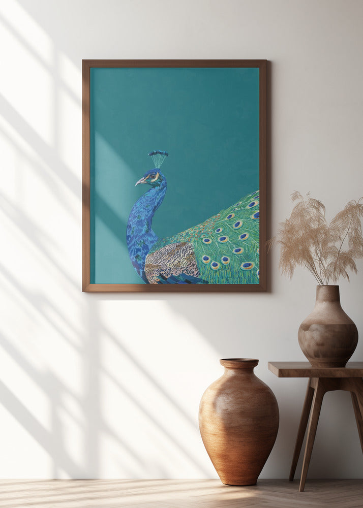 Turquoise peacock