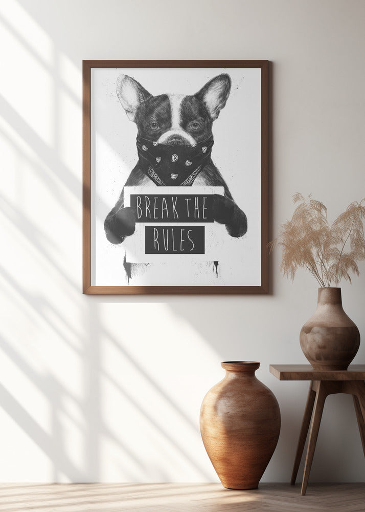 Rebel dog