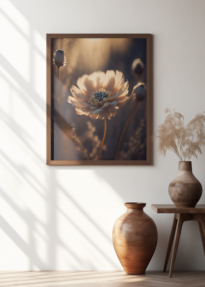 Flower in Morning Sun