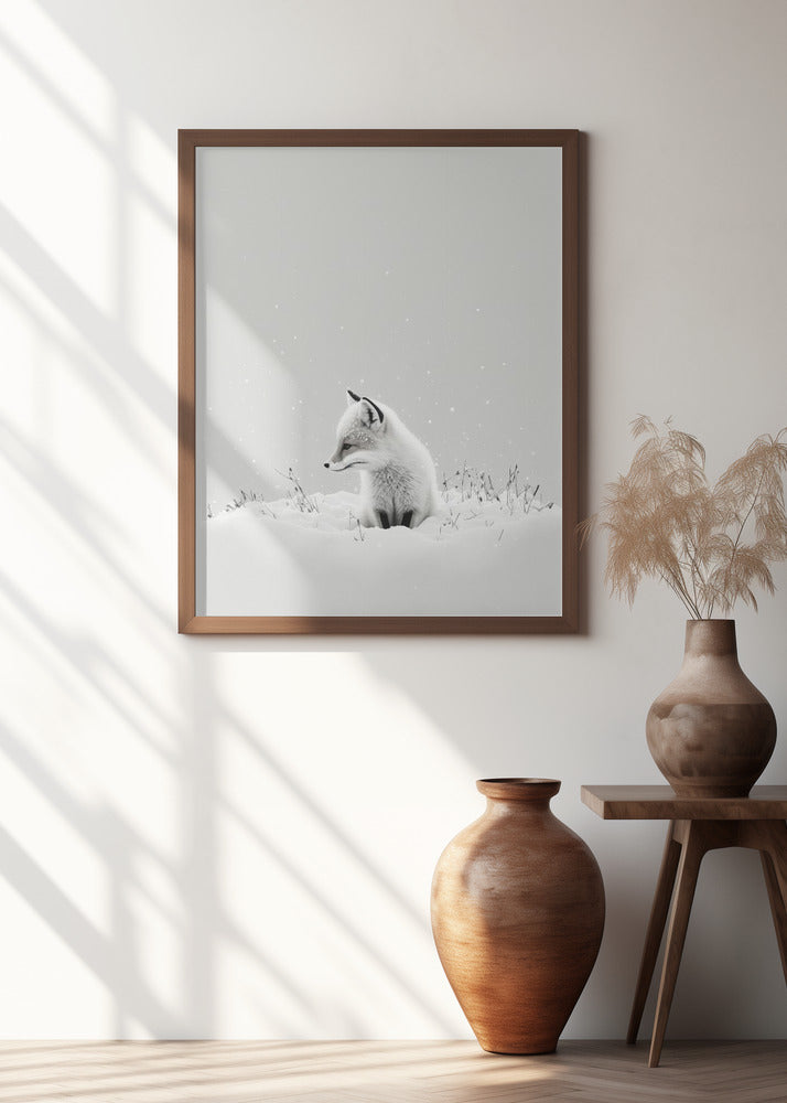 Snow Fox