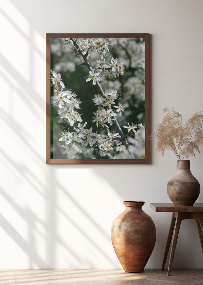 Spring blooms III