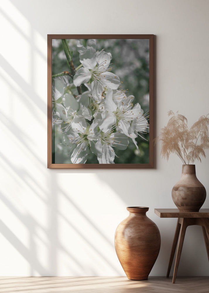 Spring blooms IV
