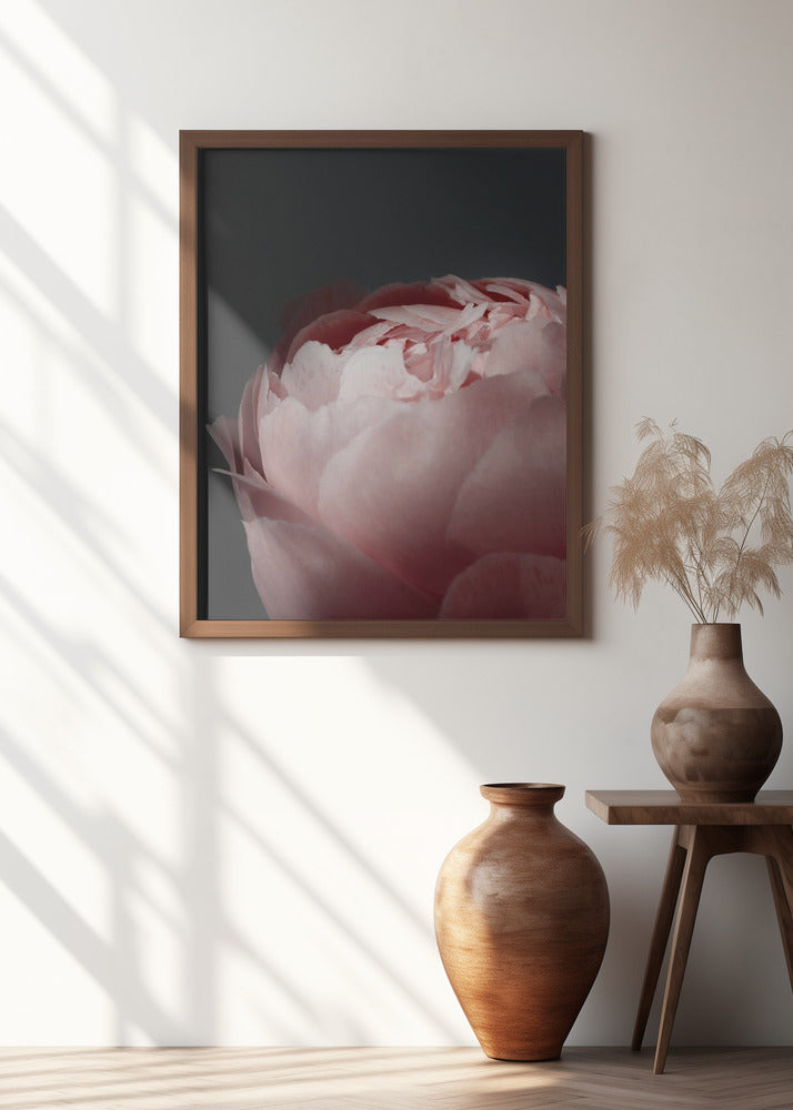 Moody blush peony II