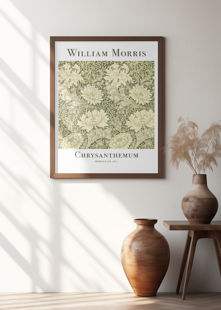 Chrysanthemum