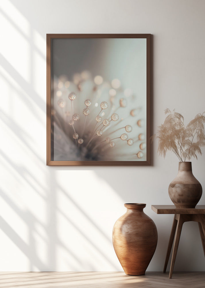 Dreamy Dandelion