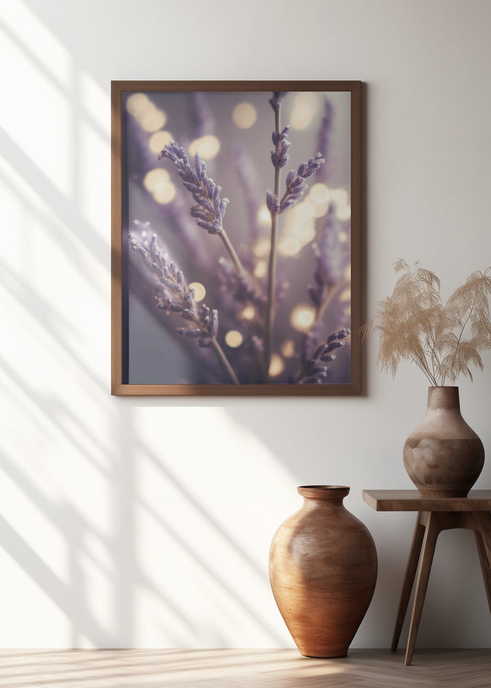 Lavender Dreams
