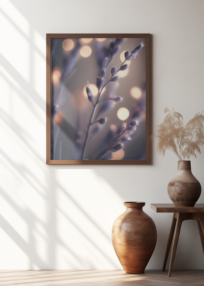 Dreamy Lavender Hues