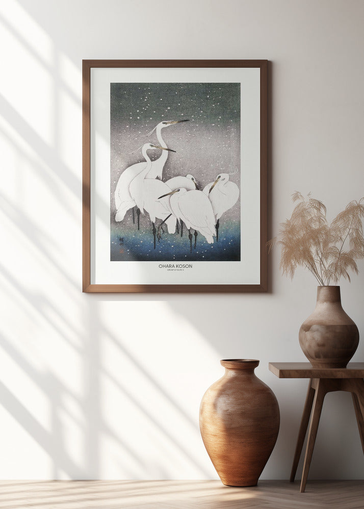 Group Of Egrets