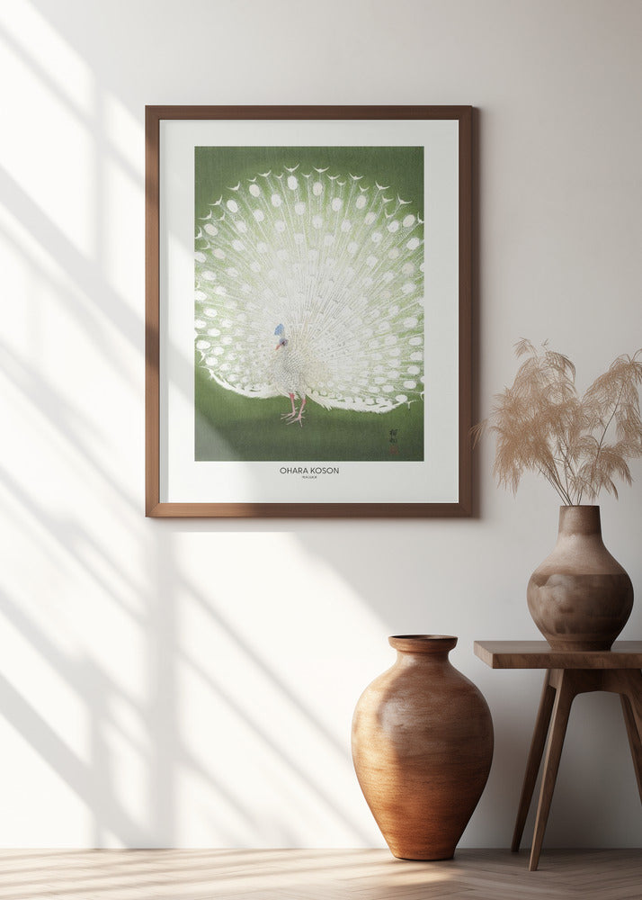 Peacock - Cropped