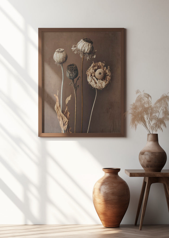 Three Dry Flowers