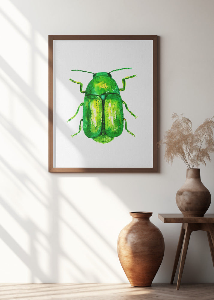 Cylindrical leaf beetle or Cryptocephalus sericeus