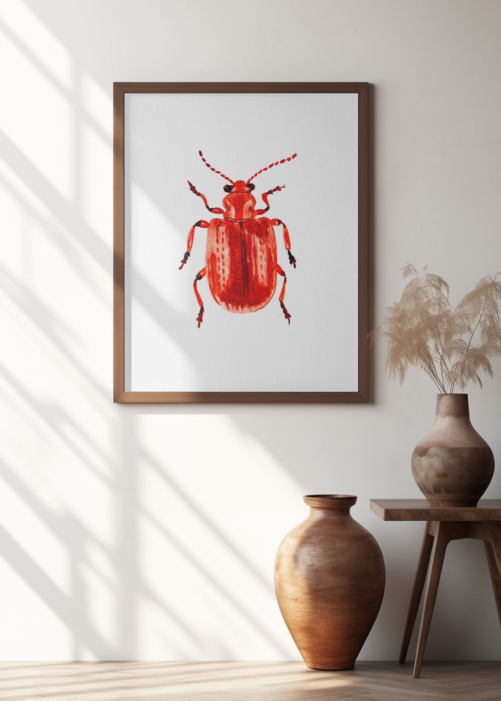 Onion beetle or Lilioceris merdigera