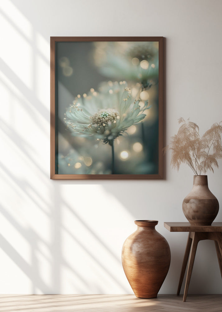 Dreamy Blossoms