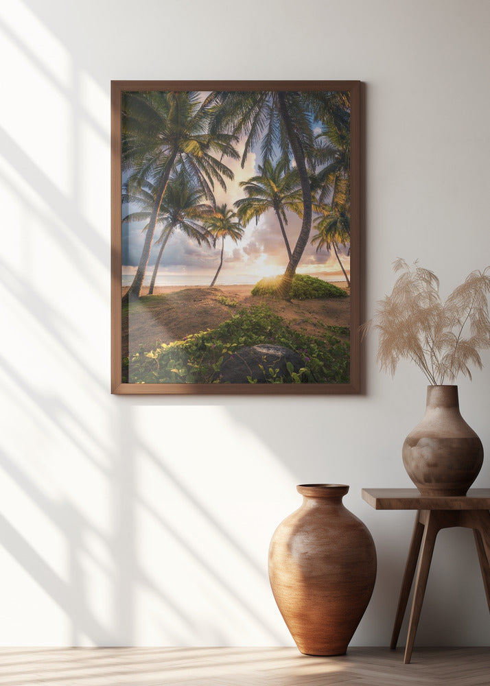 Vertical Paradise