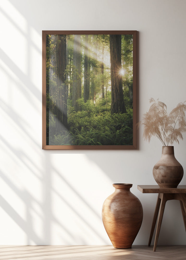 Fairy Forest