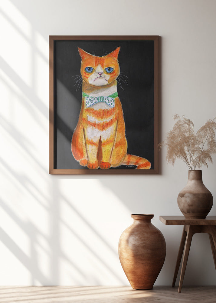 Sad Cat