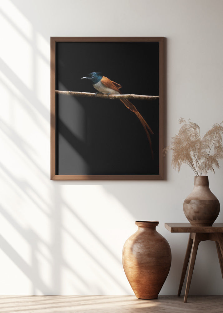 Play of light