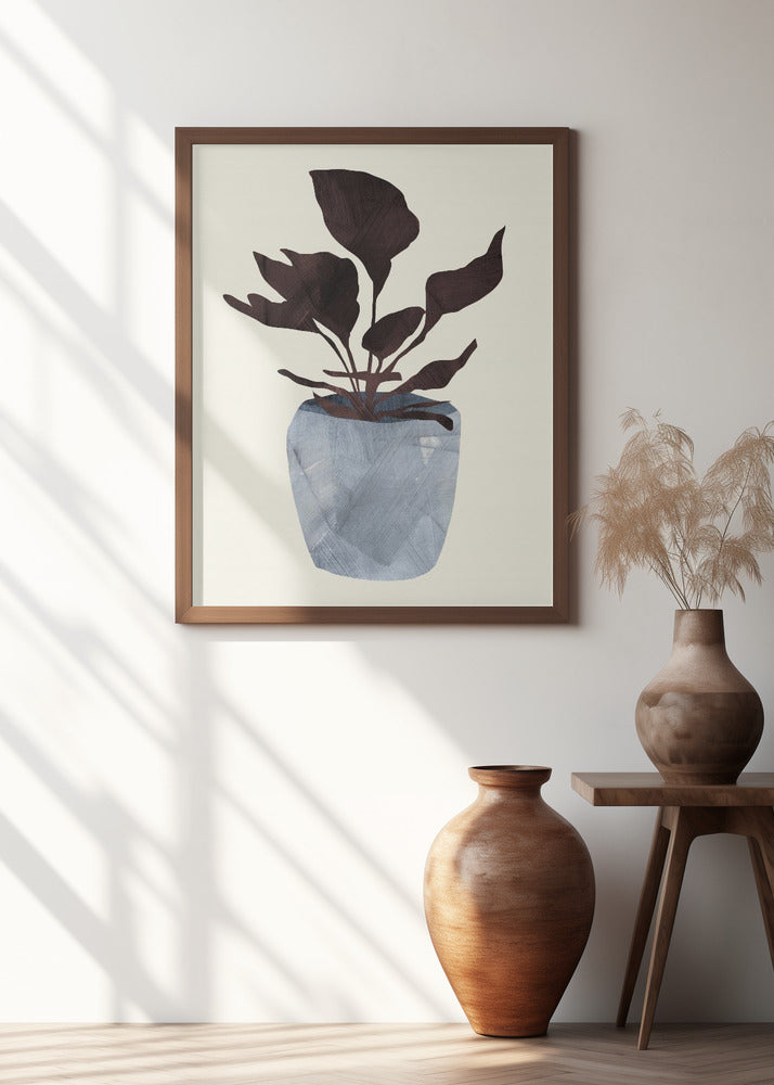 Country Plant