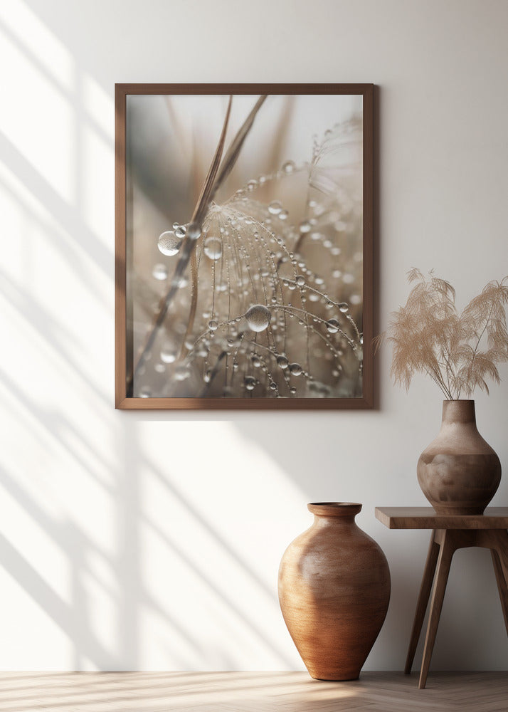Rain Drops