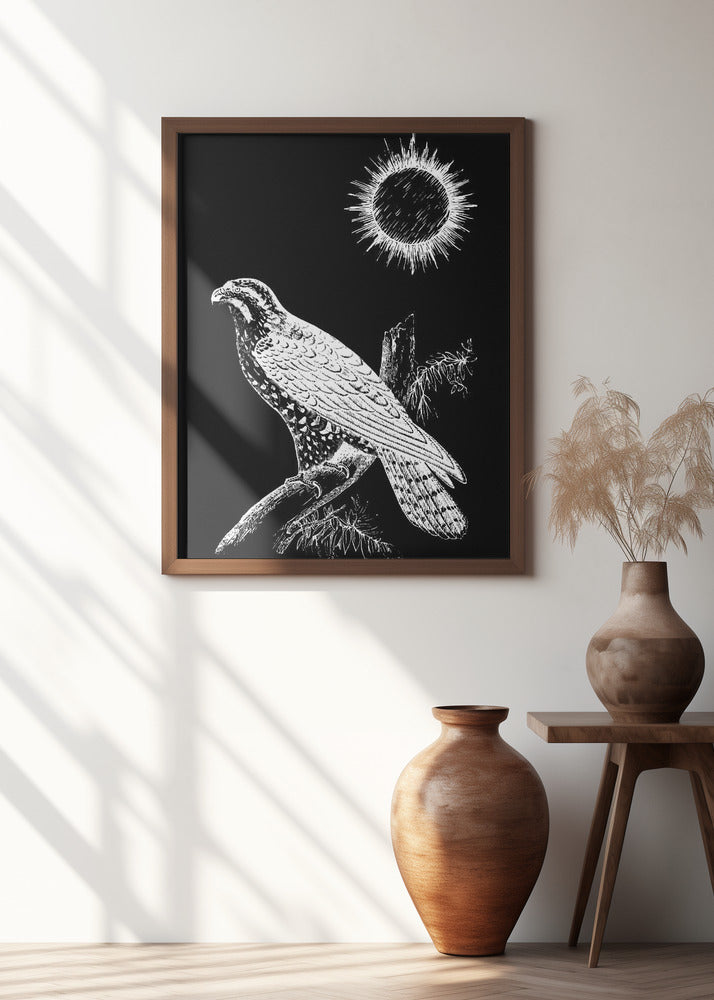 Falcon Peregrine