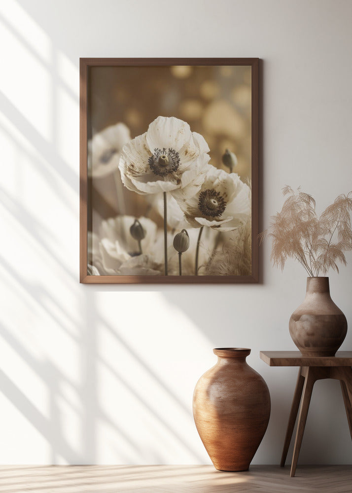 White Poppy