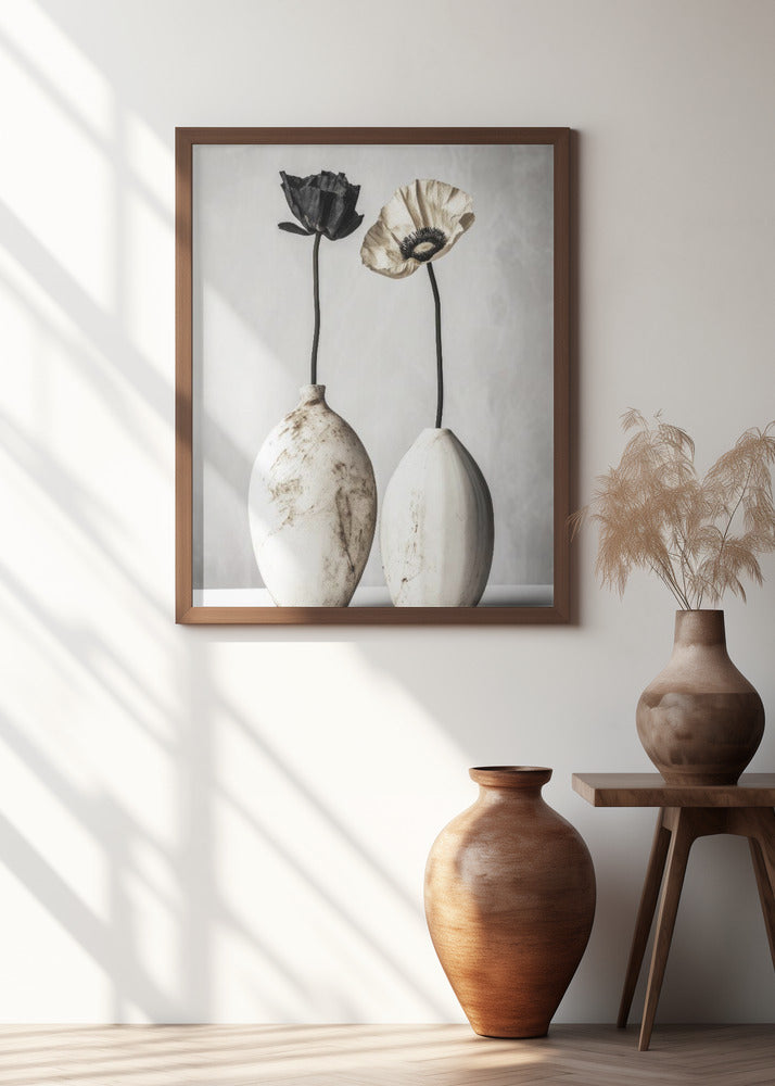 Contrasting Blooms