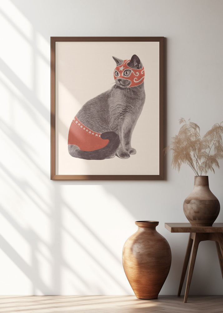 Chat Catcheur