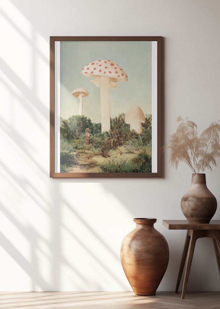 The Finest Giant Mushroom