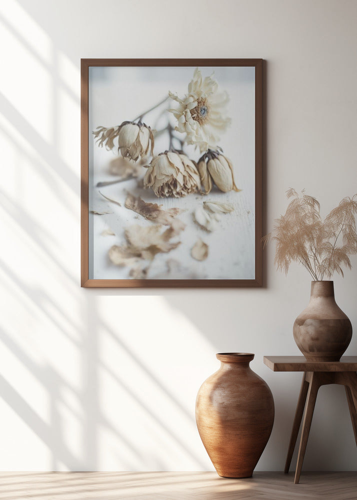 Faded Elegance
