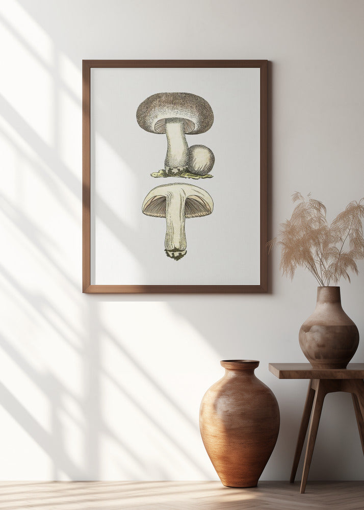 Hand Drawn Field Mushroom Gray