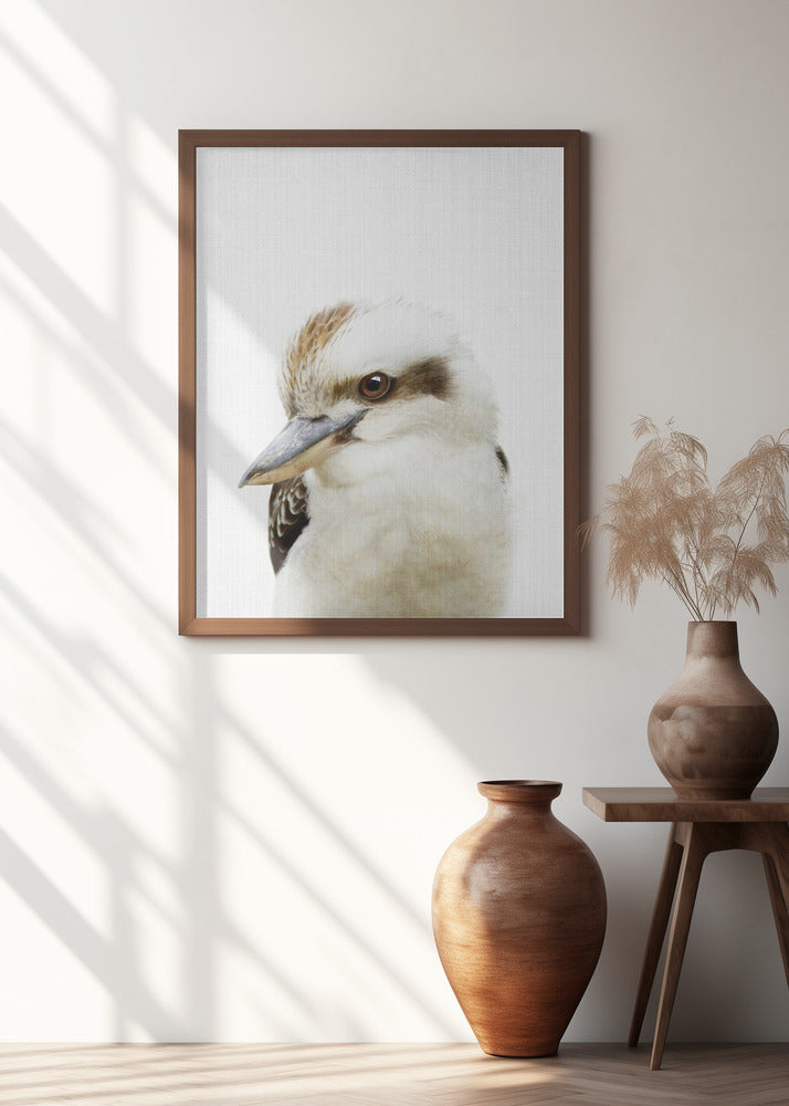 Peekaboo Kookaburra