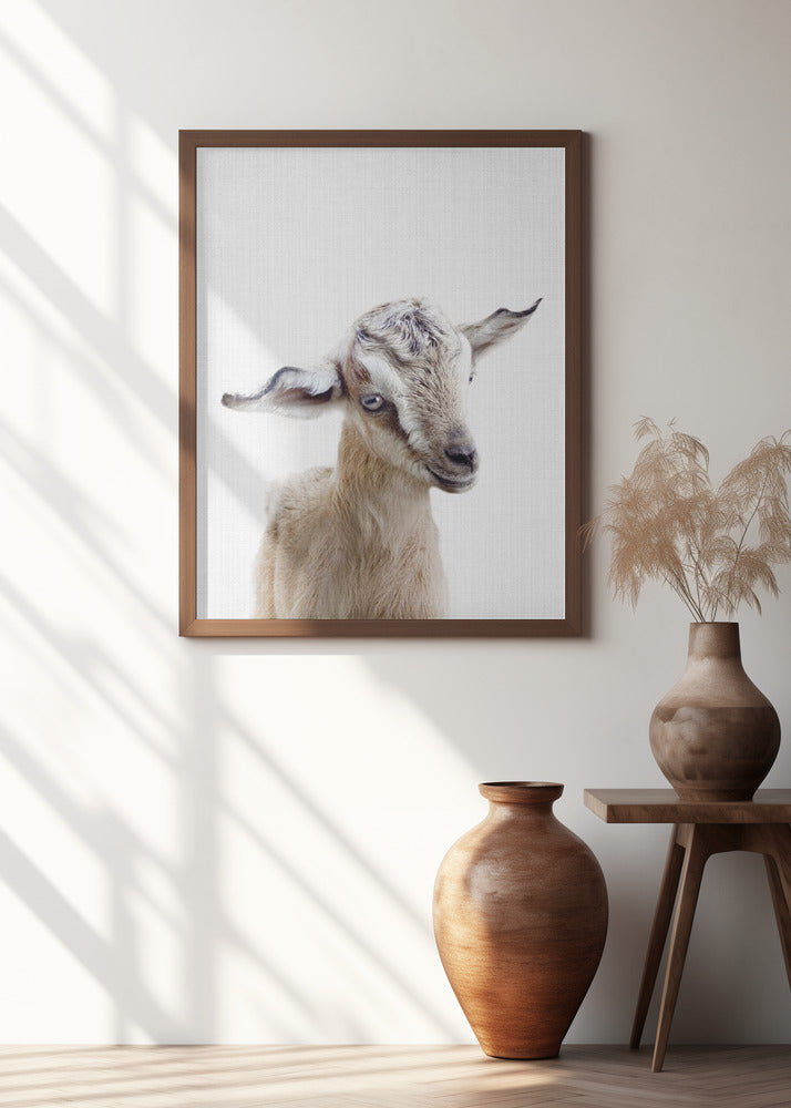 Peekaboo Baby Goat