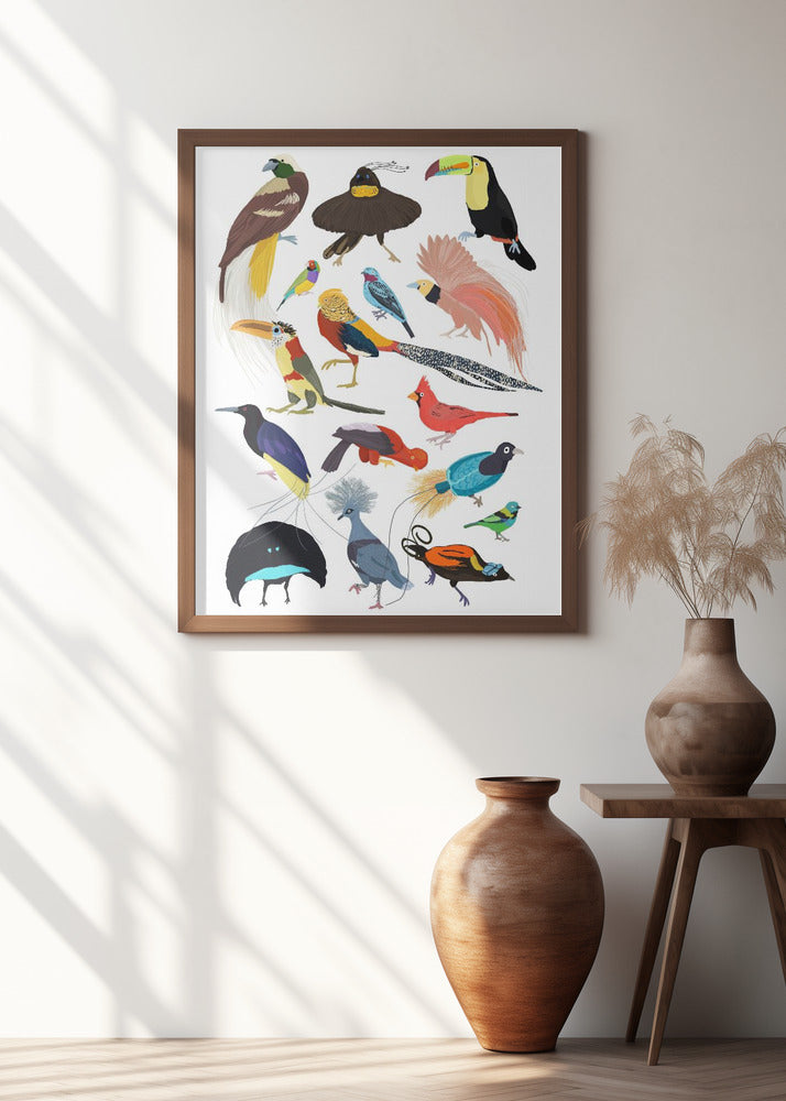 Birds of Paradise