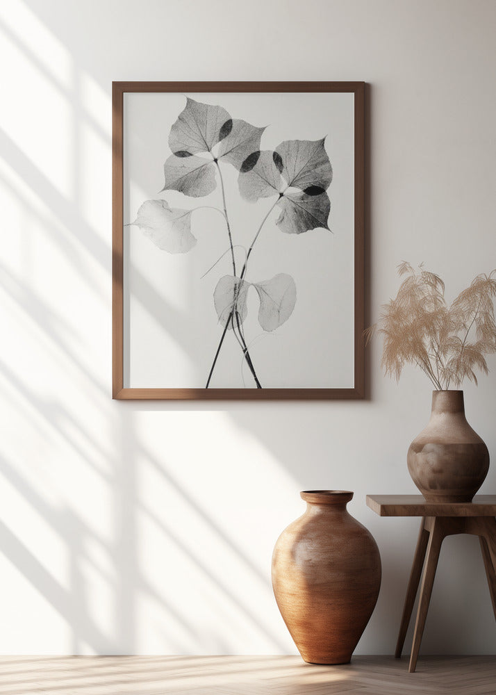 Ethereal Leaves