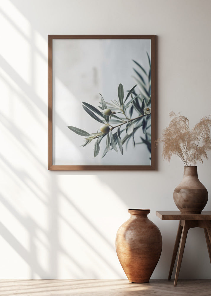 Olive Serenity