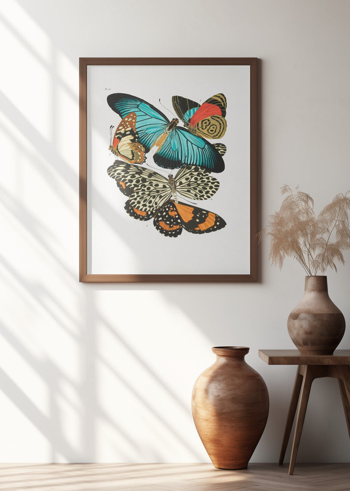 Butterflies 1