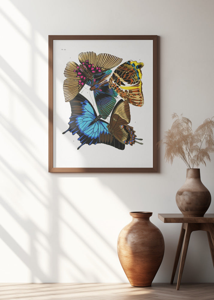 Butterflies 4