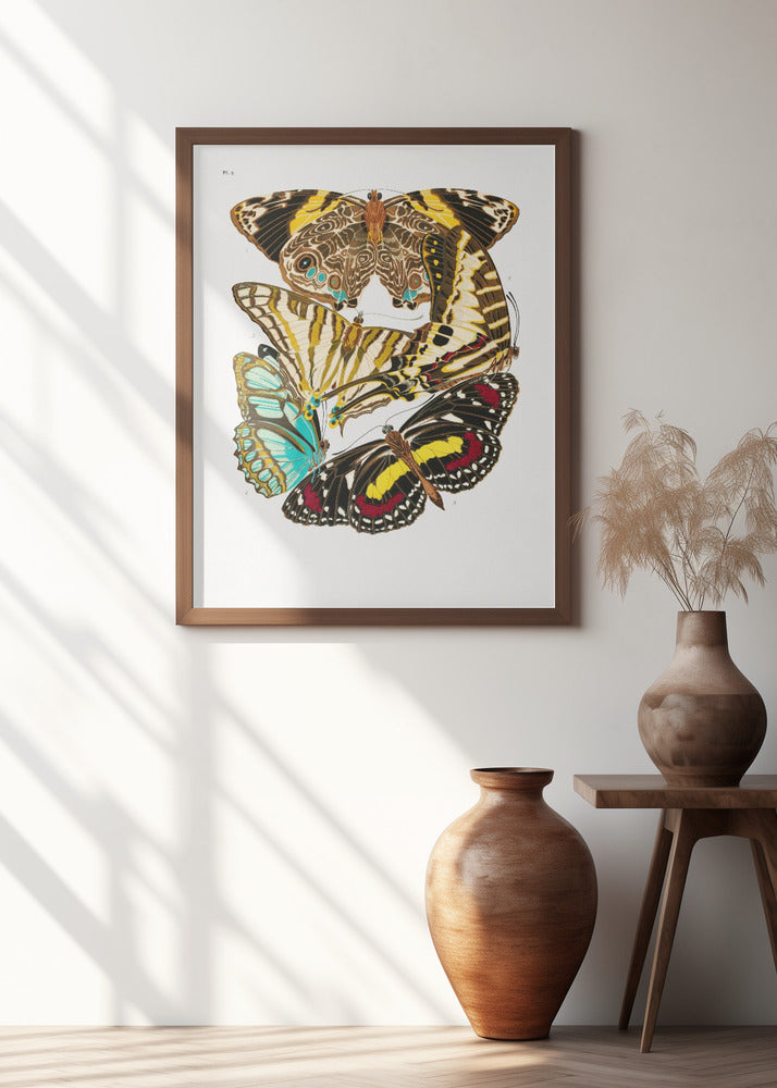 Butterflies 10