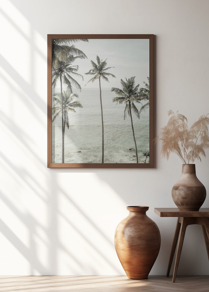 Tropical Dreams