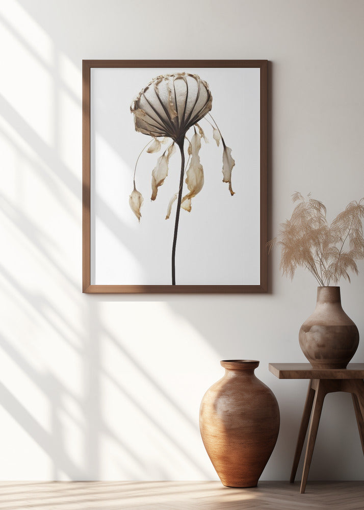 Withered Elegance