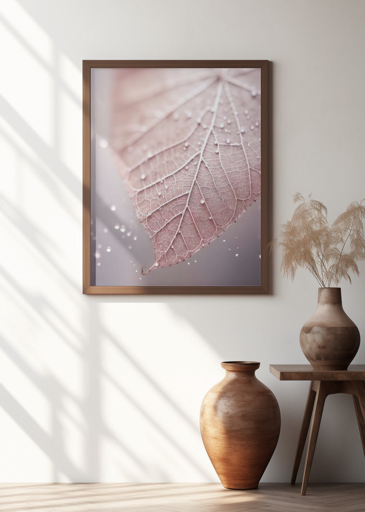 Veins of Serenity