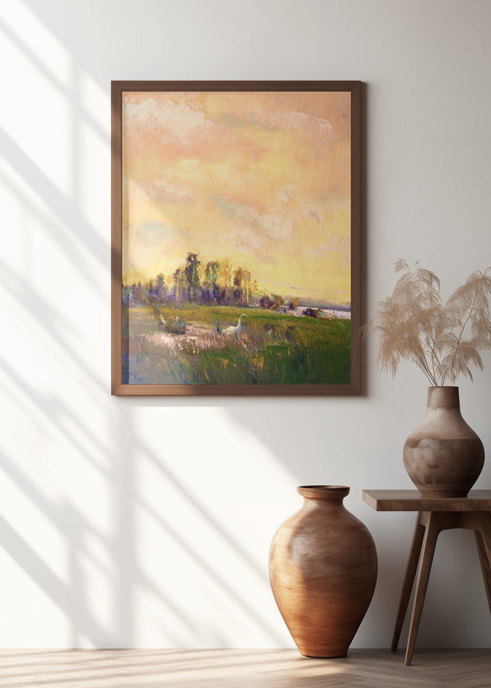 Sunlit Meadowscape