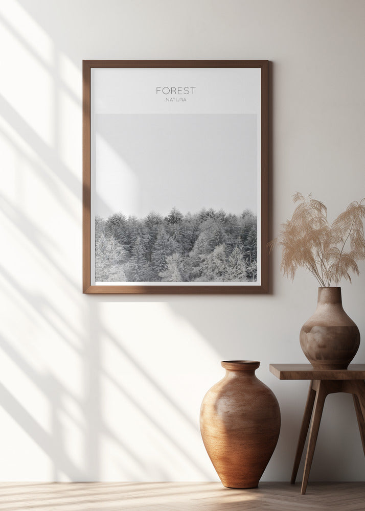 Frosted Tranquility