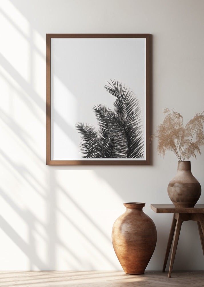 Palm Whisper