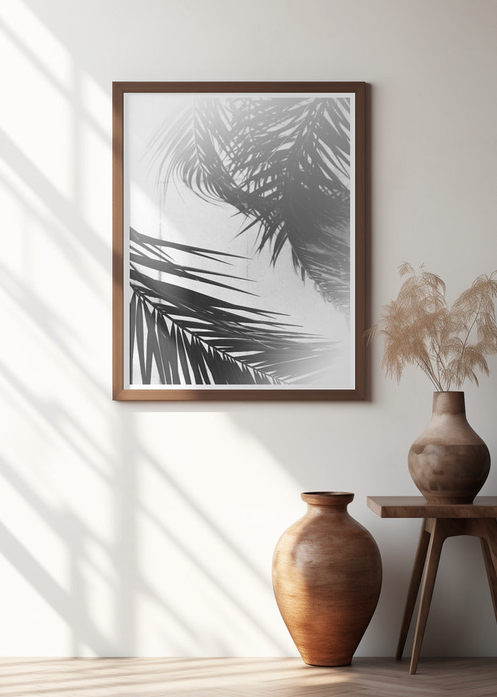 Palm Silhouettes