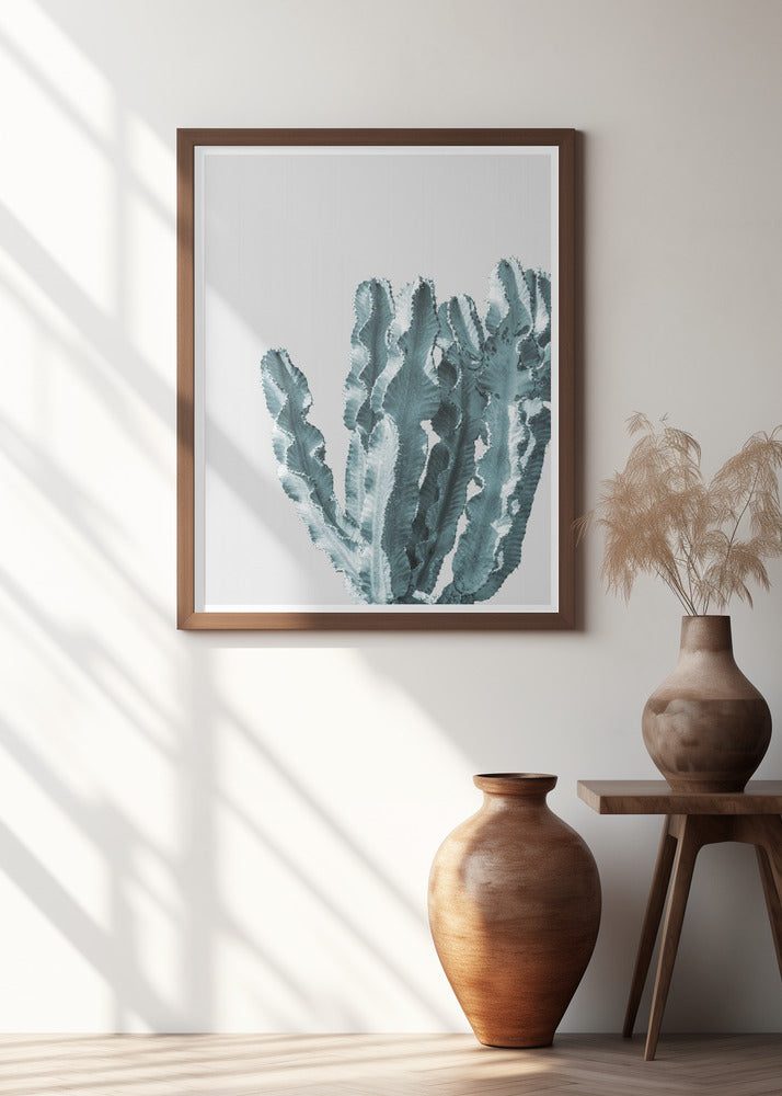 Cactus Elegance