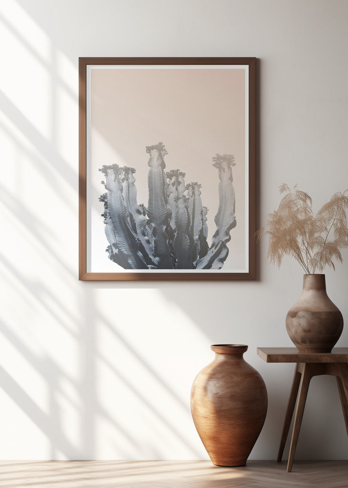 Cactus Silhouettes