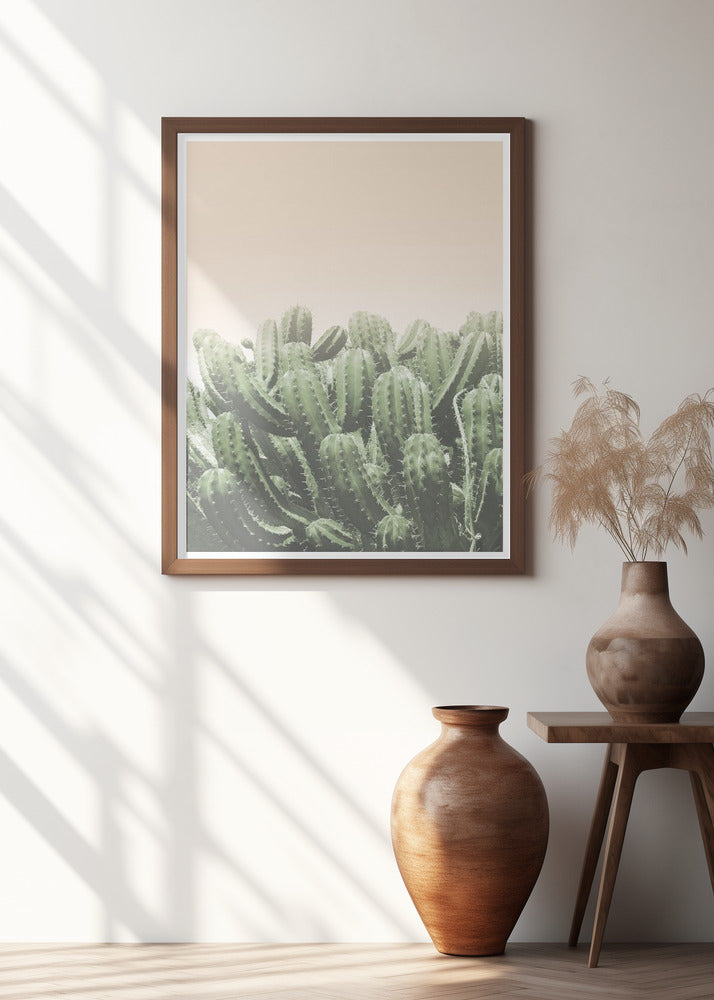 Desert’s Embrace