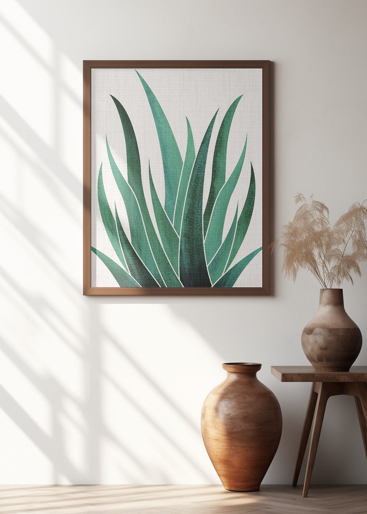 Desert Agave Cactus